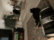 a black cat is standing in a living room next to a vacuum cleaner that says ' jbl ' on it