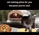 a cat is making a pizza for you because you are cool .