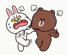 a brown bear and a white rabbit are fighting with each other .