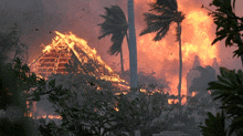 a house is on fire in the middle of a tropical forest