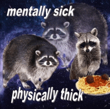 three raccoons are standing next to a plate of spaghetti with meatballs