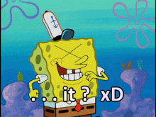 a cartoon of spongebob with the words " it ? xd " below him