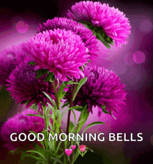 a picture of purple flowers with the words " good morning bells " below it