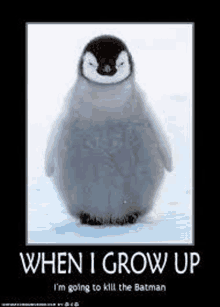 Penguin Memes Meme