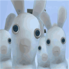 a group of white rabbits with big blue eyes looking at the camera