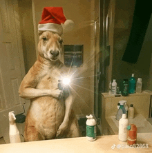 a kangaroo wearing a santa hat takes a selfie in a bathroom mirror