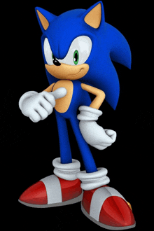 a cartoon character named sonic the hedgehog is standing with his hands on his hips