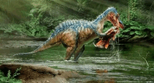 a dinosaur is eating another dinosaur in the water in a river .