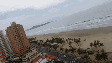 an aerial view of a beach with palm trees and buildings in the foreground and the ocean in the background