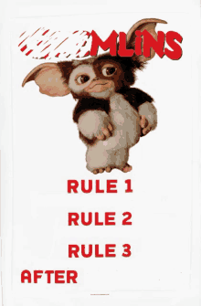 a poster for the movie gremlins shows a gizmo and says rule 1 rule 2 rule 3 after