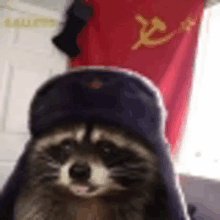 a raccoon wearing a russian hat is looking at the camera in front of a red flag .