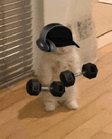 a cat wearing headphones and a baseball cap is holding a dumbbell .