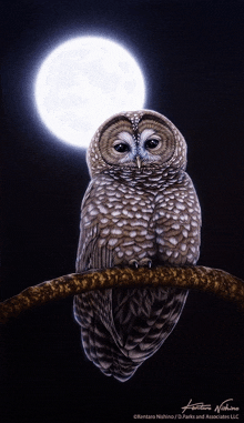 a painting of an owl with a full moon in the background by kentaro nishino