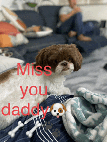 a small brown and white dog is laying on a blanket with the words miss you daddy written on it