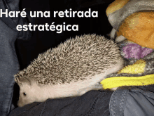 a hedgehog is laying on someone 's lap with the words hare una retirada estrategica above it