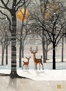 a couple of deer standing in the snow in a forest