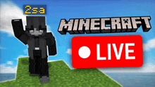 a video of a minecraft live stream