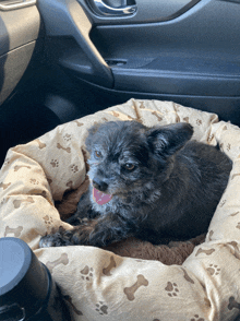 a small dog is laying in a dog bed with paw prints and bones on it