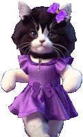 a black and white cat wearing a purple dress and a purple bow