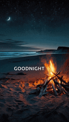 a picture of a campfire on a beach with the words goodnight