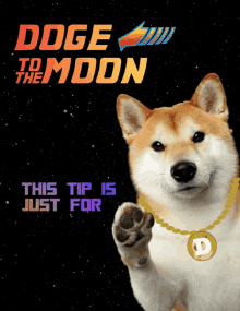 a doge wearing a necklace that says " doge to the moon " on it