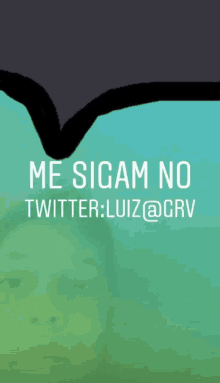 a green background with the words me sigam no twitter : luiz @ crv