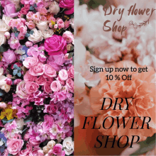 a sign that says dry flower shop is next to a bunch of flowers