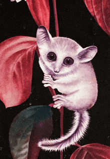 a painting of a small white animal with a long tail