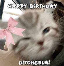 a picture of a cat with a pink bow and the words happy birthday ditcherla