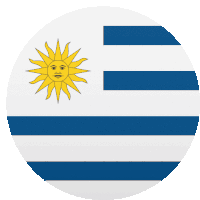 a blue and white striped flag with a sun in the center