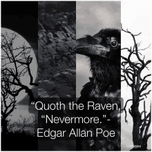 a quote from edgar allan poe with a crow and trees