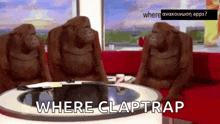 three orangutans are sitting around a table with the words where claptrap written on the bottom