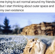 a cat laying in the grass with a caption that says me trying to act normal around my friends