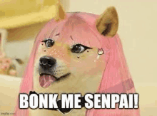 a dog with pink hair is wearing a pink wig and saying bonk me senpai !