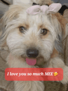 a picture of a dog with a pink bow on its head and the words i love you so much mee