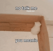 a white kitten is sitting in a cardboard box with the words `` no talk me you meanie '' written on it .