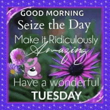 good morning seize the day make it ridiculously amazing have a wonderful tuesday .