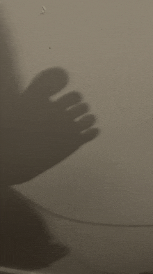 a shadow of a person 's foot is cast on a white wall .