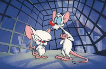 pinky and the brain standing next to each other in a cage