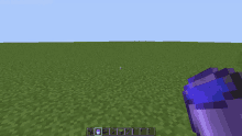 a screenshot of a minecraft game shows a purple item in the middle of a field