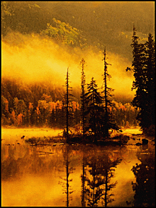 a painting of a lake with trees in the foreground