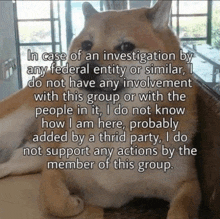 a dog with a caption that says in case of an investigation by any federal entity or similar i do not have any involvement with this group