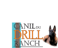 Dudrill Malinois Sticker