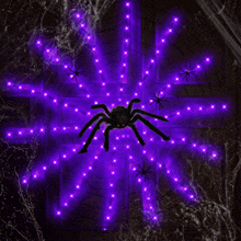 a black spider is surrounded by purple lights on a purple background