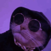 a cat wearing a hoodie and sunglasses with a chain around its neck .