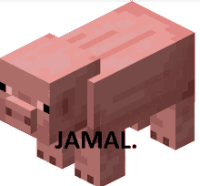 a minecraft pig with the name jamal written below it