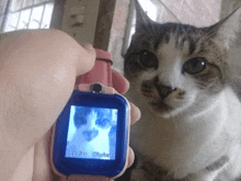 a person is holding a watch with a picture of a cat on the screen and the word ever on it