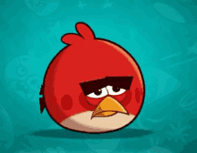 a red angry bird with a yellow beak is standing on a blue background