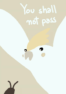 a drawing of a bird with the words you shall not pass