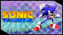 a poster for sonic tranquil with a cartoon character on it